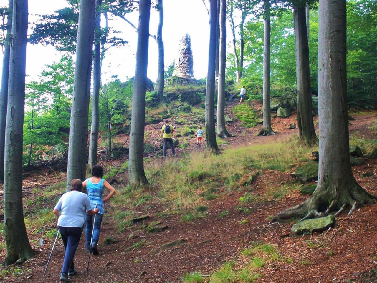 Ferienwohnungen Waldblick Waldmünchen Esterno foto
