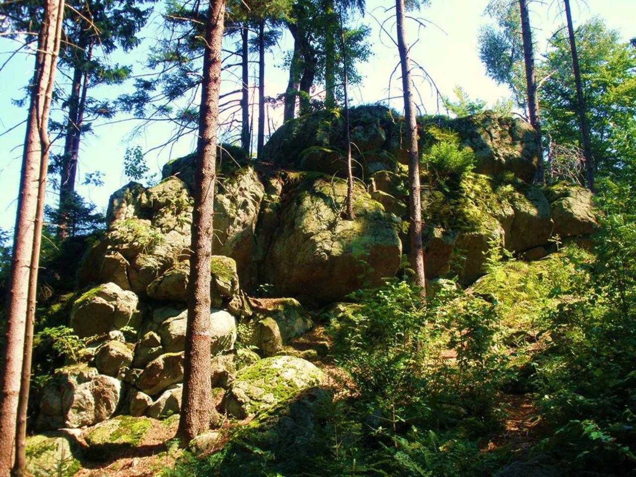 Ferienwohnungen Waldblick Waldmünchen Esterno foto