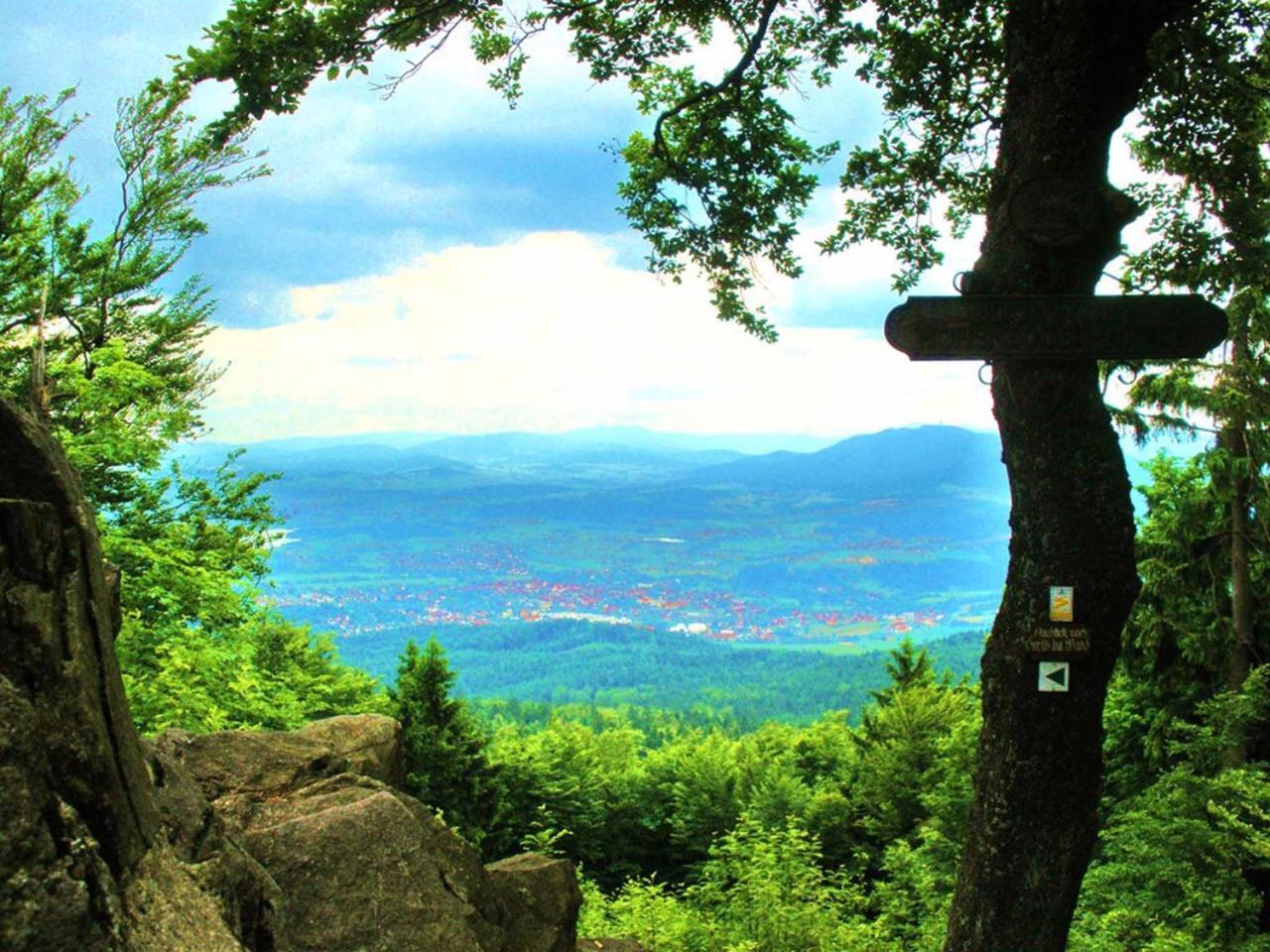 Ferienwohnungen Waldblick Waldmünchen Esterno foto