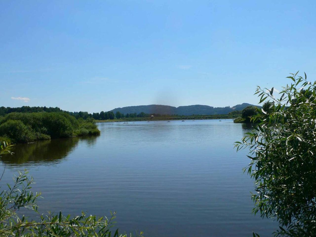 Ferienwohnungen Waldblick Waldmünchen Esterno foto